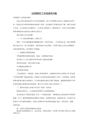 试用期员工总结报告5篇.docx