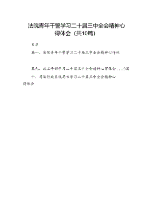 法院青年干警学习二十届三中全会精神心得体会（共10篇）.docx