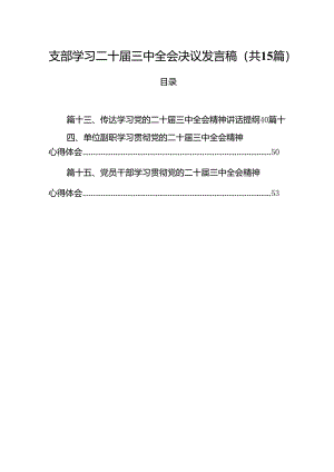 （15篇）支部学习二十届三中全会决议发言稿汇编.docx
