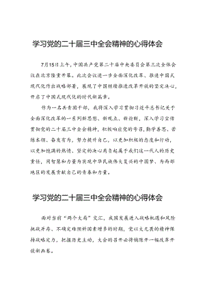 关于党的二十届三中全会精神的心得感悟.docx