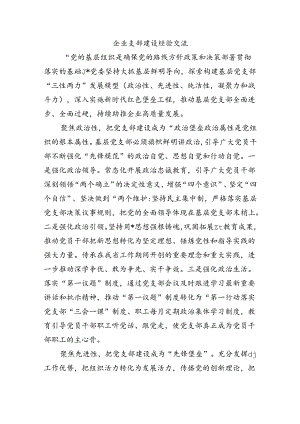 企业支部建设经验交流.docx
