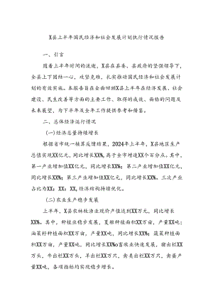 X县上半年国民经济和社会发展计划执行情况报告.docx