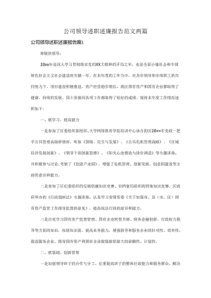 公司领导述职述廉报告范文两篇.docx