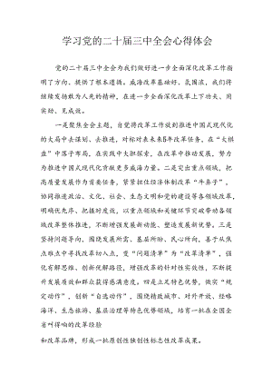 2024年学习学习党的二十届三中全会个人心得体会 （汇编9份）.docx