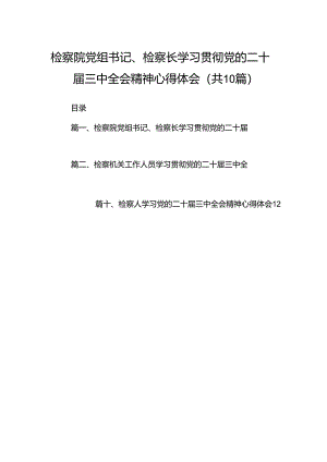 检察院党组书记、检察长学习贯彻党的二十届三中全会精神心得体会10篇（详细版）.docx
