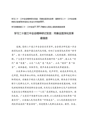 学习二十届三中全会精神研讨发言：同奏全面深化改革最强音、筑牢信仰之基全力书写新辉煌、坚持人民至上谋划和推进改革.docx