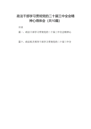 （10篇）政法干部学习贯彻党的二十届三中全会精神心得体会（详细版）.docx