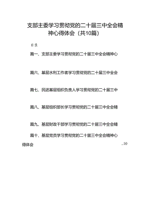 （10篇）支部主委学习贯彻党的二十届三中全会精神心得体会范文.docx