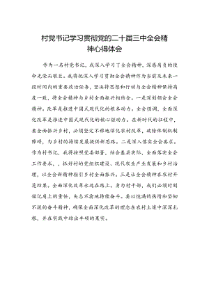 村党书记学习贯彻党的二十届三中全会精神心得体会.docx
