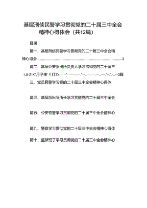 基层刑侦民警学习贯彻党的二十届三中全会精神心得体会12篇（最新版）.docx