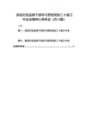 （10篇）派驻纪检监察干部学习贯彻党的二十届三中全会精神心得体会（详细版）.docx