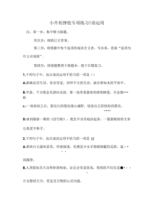 小升初成语运用选择题及答案.docx