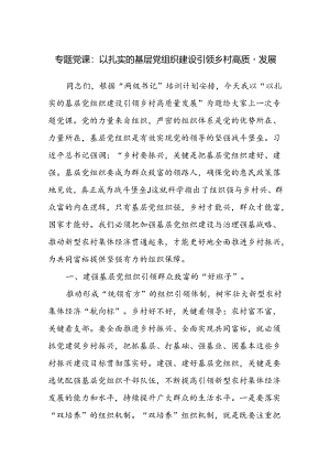党建引领乡村高质量发展专题党课讲稿辅导报告.docx