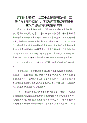 学习贯彻党的二十届三中全会精神宣讲稿：坚持“两个毫不动摇”,推动经济体制改革和社会主义市场经济发展取得新成效.docx