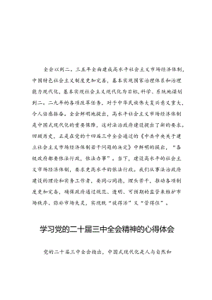 关于二十届三中全会精神学习体会优秀模板五十五篇.docx
