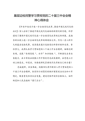 基层边检民警学习贯彻党的二十届三中全会精神心得体会.docx