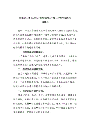 街道党工委书记学习贯彻党的二十届三中全会精神心得体会范本8篇（最新版）.docx