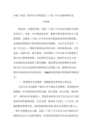 乡镇（街道）领导学习贯彻党的二十届三中全会精神研讨发言材料.docx