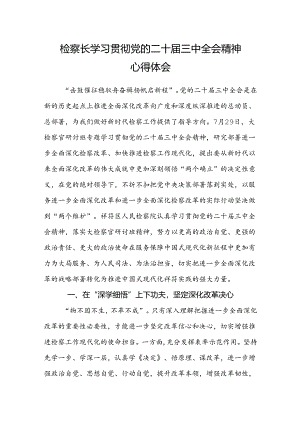 检察长学习贯彻党的二十届三中全会精神心得体会.docx