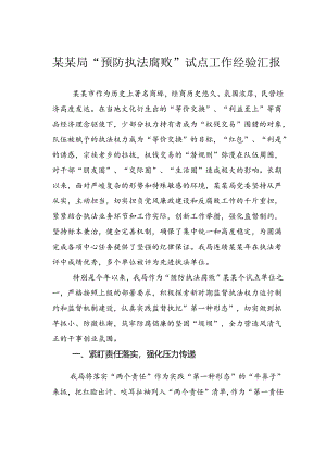某某局“预防执法腐败”试点工作经验汇报.docx