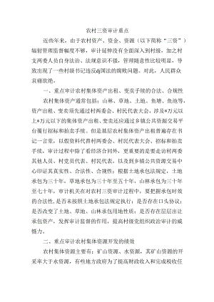 农村三资审计重点.docx