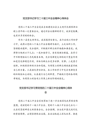 党支部书记学习二十届三中全会精神心得体会8篇（最新版）.docx