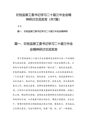 纪检监察工委书记学习二十届三中全会精神研讨交流发言7篇（详细版）.docx