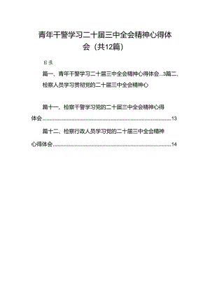 青年干警学习二十届三中全会精神心得体会(12篇集合).docx