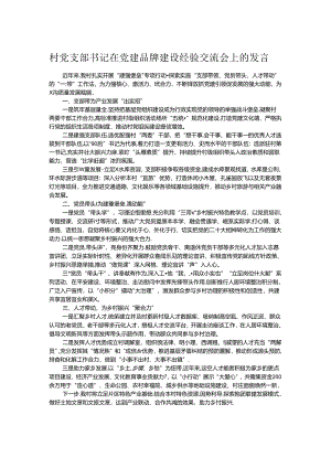 村党支部书记在党建品牌建设经验交流会上的发言.docx