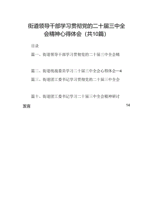 （10篇）街道领导干部学习贯彻党的二十届三中全会精神心得体会范文.docx