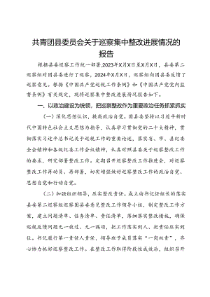 共青团县委员会关于巡察集中整改进展情况的报告.docx