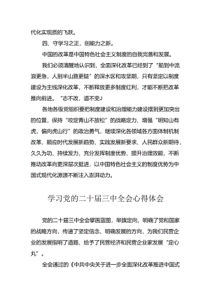 2024年学习学习党的二十届三中全会个人心得体会.docx