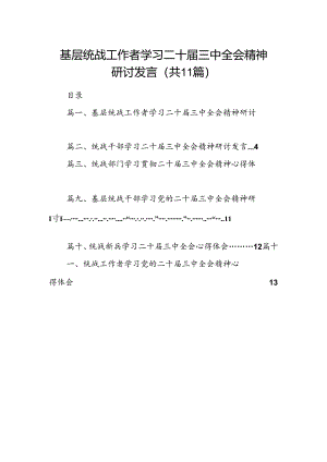 （11篇）基层统战工作者学习二十届三中全会精神研讨发言（详细版）.docx
