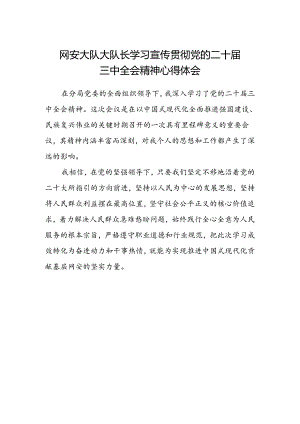 网安大队大队长学习宣传贯彻党的二十届三中全会精神心得体会.docx