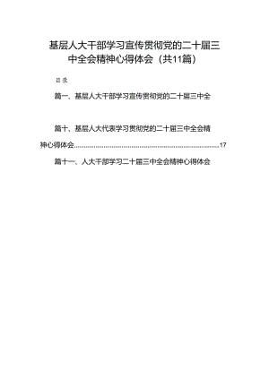 （11篇）基层人大干部学习宣传贯彻党的二十届三中全会精神心得体会范文.docx