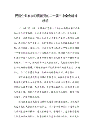 民营企业家学习贯彻党的二十届三中全会精神感想.docx