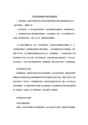 兰花幼苗养殖方法和注意事项.docx