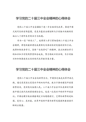 学习党的二十届三中全会精神的心得体会模板二十六篇.docx
