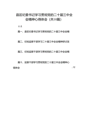 （10篇）县区纪委书记学习贯彻党的二十届三中全会精神心得体会（最新版）.docx
