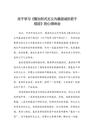 关于学习《整治形式主义为基层减负若干规定》专题培训的心得体会.docx