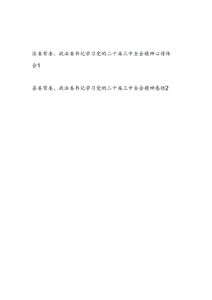 县区委常委政法委书记学习党的二十届三中全会精神心得体会研讨发言2篇.docx