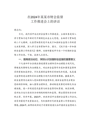 在2024年某某市财会监督工作推进会上的讲话.docx