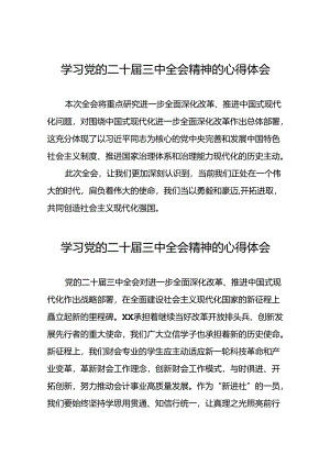 关于党的二十届三中全会精神的学习体会发言稿.docx