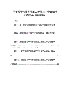 团干部学习贯彻党的二十届三中全会精神心得体会范文12篇（精选）.docx