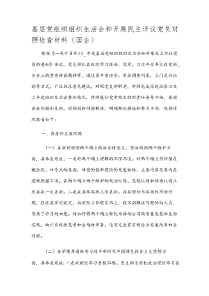 基层党组织组织生活会和开展民主评议党员对照检查材料（国企）.docx