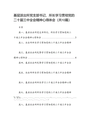 （10篇）基层派出所党支部书记、所长学习贯彻党的二十届三中全会精神心得体会范文.docx
