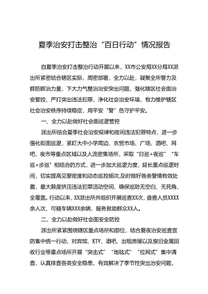 2024年推动夏季治安打击整治行动走深走实情况报告二十七篇.docx