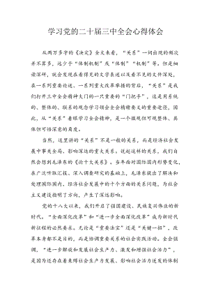 学习2024年学习党的二十届三中全会个人心得感悟 （6份）_64.docx