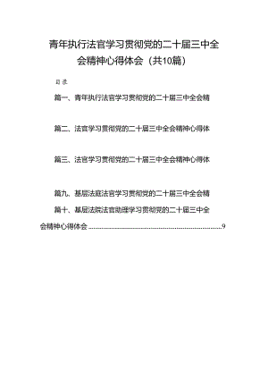青年执行法官学习贯彻党的二十届三中全会精神心得体会10篇（精选）.docx