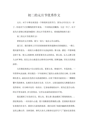 初二的元旦节优秀作文.docx